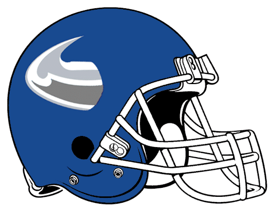 Buffalo Bulls 2001-2005 Helmet Logo diy DTF decal sticker